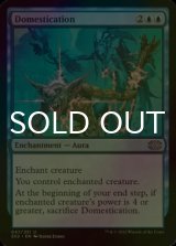 [FOIL] Domestication 【ENG】 [2X2-Blue-U]