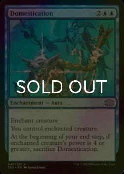 Photo1: [FOIL] Domestication 【ENG】 [2X2-Blue-U]