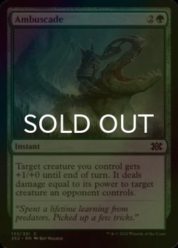 Photo1: [FOIL] Ambuscade 【ENG】 [2X2-Green-C]