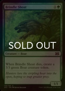 Photo1: [FOIL] Brindle Shoat 【ENG】 [2X2-Green-C]