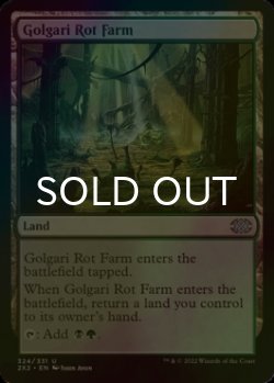 Photo1: [FOIL] Golgari Rot Farm 【ENG】 [2X2-Land-U]