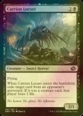[FOIL] Carrion Locust 【ENG】 [BRO-Black-C]
