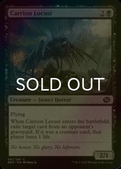 Photo1: [FOIL] Carrion Locust 【ENG】 [BRO-Black-C]