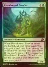 [FOIL] Blanchwood Prowler 【ENG】 [BRO-Green-C]