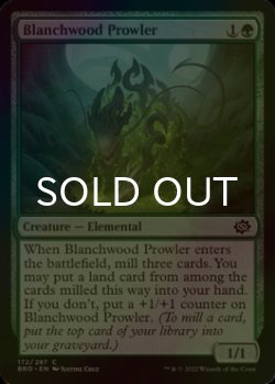 Photo1: [FOIL] Blanchwood Prowler 【ENG】 [BRO-Green-C]