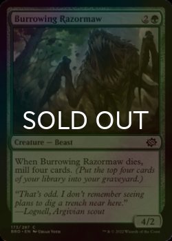 Photo1: [FOIL] Burrowing Razormaw 【ENG】 [BRO-Green-C]