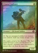 [FOIL] Citanul Stalwart 【ENG】 [BRO-Green-C]