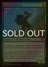 [FOIL] Citanul Stalwart 【ENG】 [BRO-Green-C]