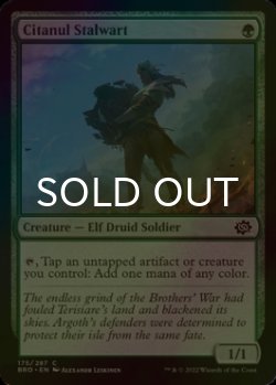 Photo1: [FOIL] Citanul Stalwart 【ENG】 [BRO-Green-C]