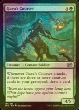 [FOIL] Gaea's Courser 【ENG】 [BRO-Green-U]