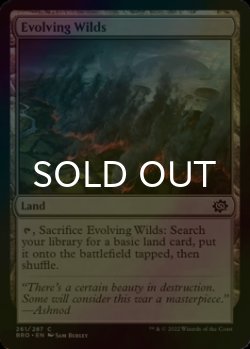 Photo1: [FOIL] Evolving Wilds 【ENG】 [BRO-Land-C]