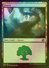 [FOIL] Forest No.276 【ENG】 [BRO-Land-C]