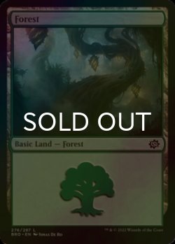 Photo1: [FOIL] Forest No.276 【ENG】 [BRO-Land-C]