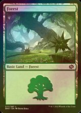 [FOIL] Forest No.277 【ENG】 [BRO-Land-C]