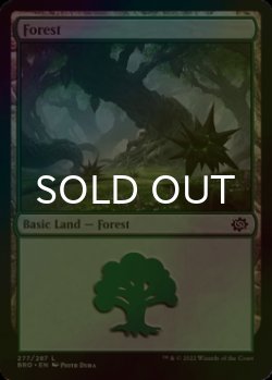 Photo1: [FOIL] Forest No.277 【ENG】 [BRO-Land-C]