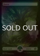 [FOIL] Forest No.287 (Full-Art) 【ENG】 [BRO-Land-C]
