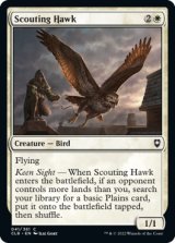 Scouting Hawk 【ENG】 [CLB-White-C]