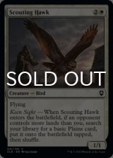Scouting Hawk 【ENG】 [CLB-White-C]