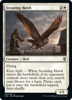 Photo1: Scouting Hawk 【ENG】 [CLB-White-C]