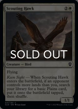 Photo1: Scouting Hawk 【ENG】 [CLB-White-C]