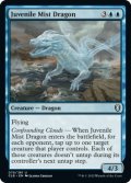 Juvenile Mist Dragon 【ENG】 [CLB-Blue-U]