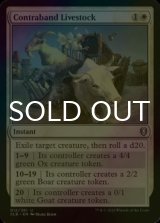 [FOIL] Contraband Livestock 【ENG】 [CLB-White-U]