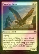 [FOIL] Scouting Hawk 【ENG】 [CLB-White-C]