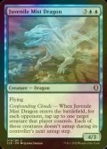 [FOIL] Juvenile Mist Dragon 【ENG】 [CLB-Blue-U]