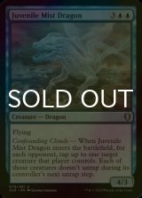 [FOIL] Juvenile Mist Dragon 【ENG】 [CLB-Blue-U]