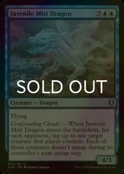 Photo1: [FOIL] Juvenile Mist Dragon 【ENG】 [CLB-Blue-U]