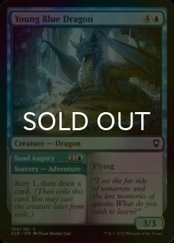Photo1: [FOIL] Young Blue Dragon 【ENG】 [CLB-Blue-C]