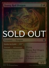 [FOIL] Young Red Dragon 【ENG】 [CLB-Red-C]