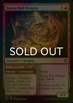 Photo1: [FOIL] Young Red Dragon 【ENG】 [CLB-Red-C]