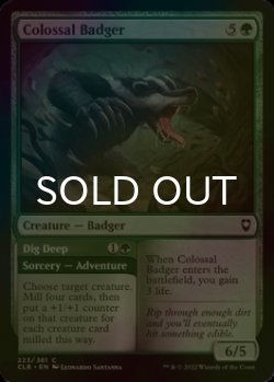 Photo1: [FOIL] Colossal Badger 【ENG】 [CLB-Green-C]