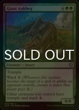 [FOIL] Giant Ankheg 【ENG】 [CLB-Green-U]