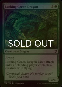 Photo1: [FOIL] Lurking Green Dragon 【ENG】 [CLB-Green-C]