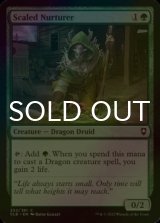 [FOIL] Scaled Nurturer 【ENG】 [CLB-Green-C]