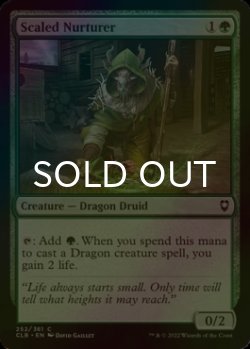 Photo1: [FOIL] Scaled Nurturer 【ENG】 [CLB-Green-C]