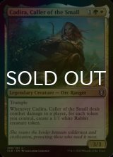 [FOIL] Cadira, Caller of the Small 【ENG】 [CLB-Multi-U]