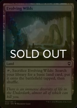Photo1: [FOIL] Evolving Wilds 【ENG】 [CLB-Land-C]