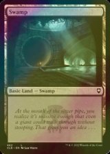 [FOIL] Swamp No.462 【ENG】 [CLB-Land-C]