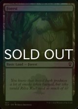 [FOIL] Forest No.467 【ENG】 [CLB-Land-C]
