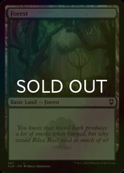 Photo1: [FOIL] Forest No.467 【ENG】 [CLB-Land-C]