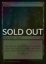 [FOIL] Forest No.468 【ENG】 [CLB-Land-C]