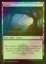 [FOIL] Forest No.469 【ENG】 [CLB-Land-C]