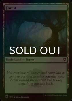 Photo1: [FOIL] Forest No.469 【ENG】 [CLB-Land-C]