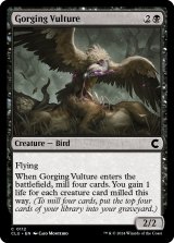 Gorging Vulture 【ENG】 [CLU-Black-C]