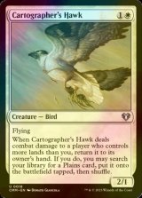 [FOIL] Cartographer's Hawk 【ENG】 [CMM-White-U]