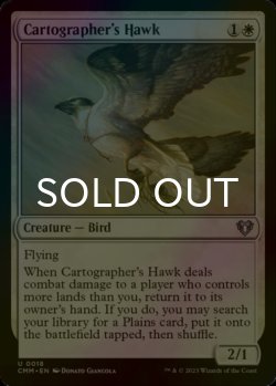 Photo1: [FOIL] Cartographer's Hawk 【ENG】 [CMM-White-U]