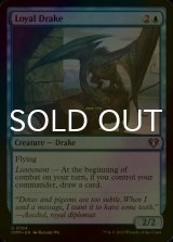 [FOIL] Loyal Drake 【ENG】 [CMM-Blue-U]
